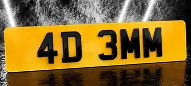 4d plates